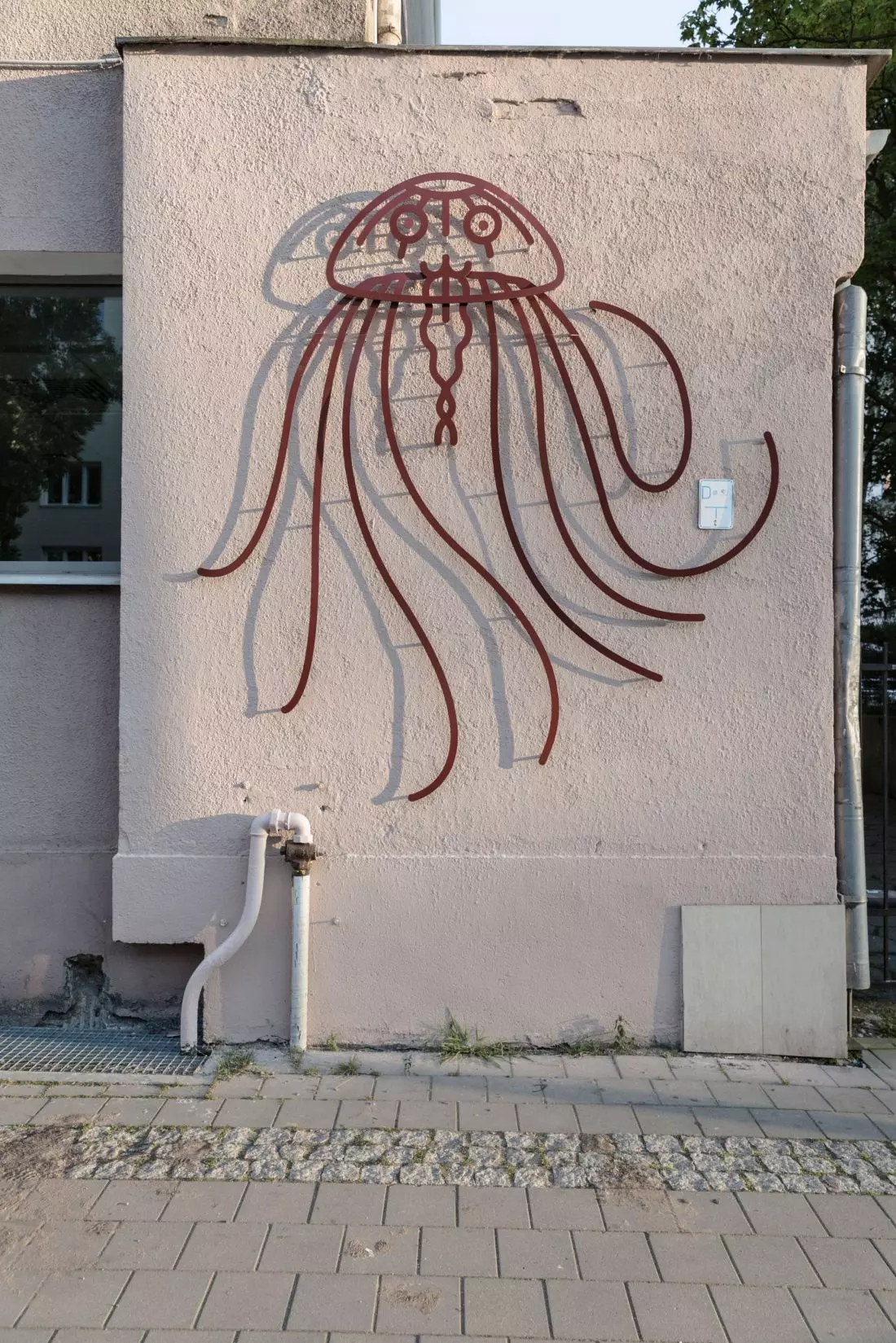 Metalografika meduza