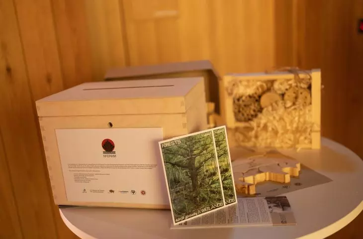 Fragment wystawy Xylopolis