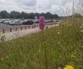 A meadow at Stanstead airport (near London)