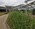 A meadow at Stanstead airport (near London)