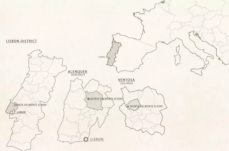 Projekt hotelu Monte D’Oiro, analiza