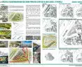 Revitalization options