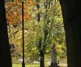 One of the alleys in Jordan Park