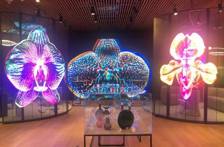 Photos by Maciej Mankowski at EXPO 2020 exhibition