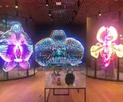Photos by Maciej Mankowski at EXPO 2020 exhibition