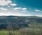 Black Pearl in a landscape setting