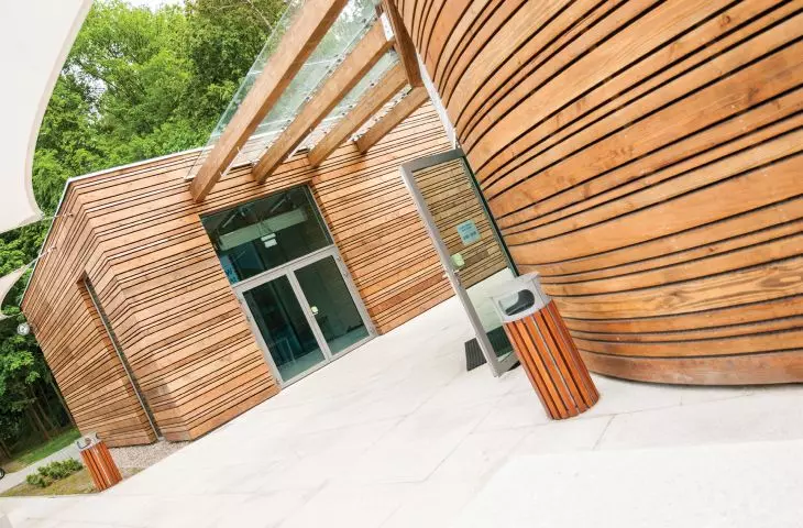 Construction wood also as a decorative element