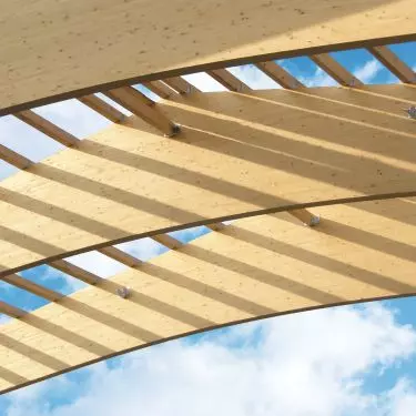 BSH as a swimming pool canopy