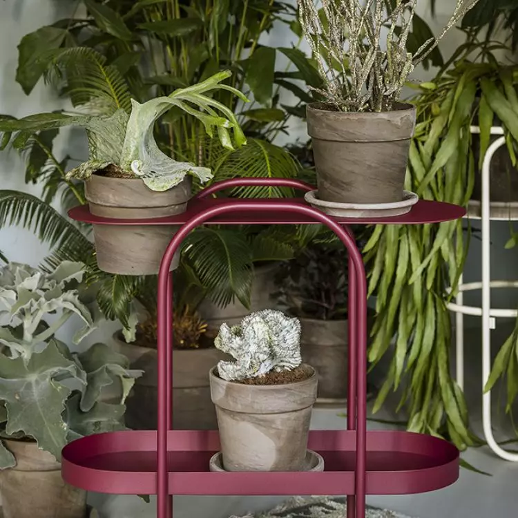   Doppi console