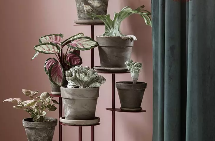 Tillo flowerbed