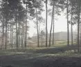 I Nagroda, wizualizacje