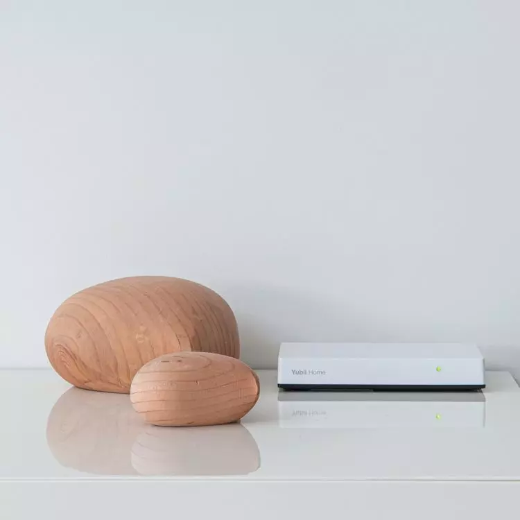 Smart Home