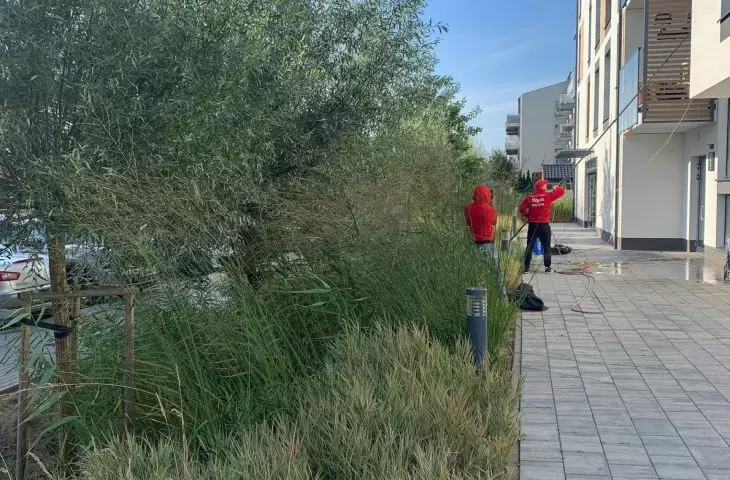 Osiedle Beauforta — wydzielenie przestrzeni spacerowej obok zieleni