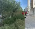 Beaufort estate - separation of walking space next to greenery