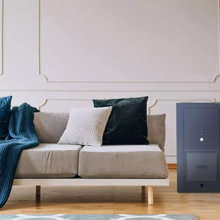 Sterylis PURE AIR-100 / Anthracite matt