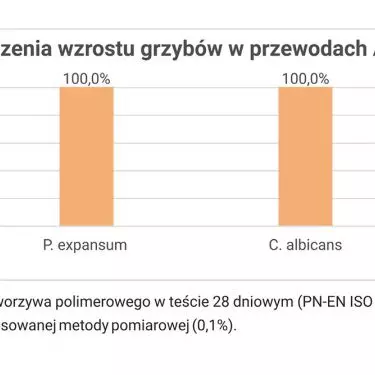 Nowa era w ochronie mikrobiologicznej przewodów wentylacyjnych