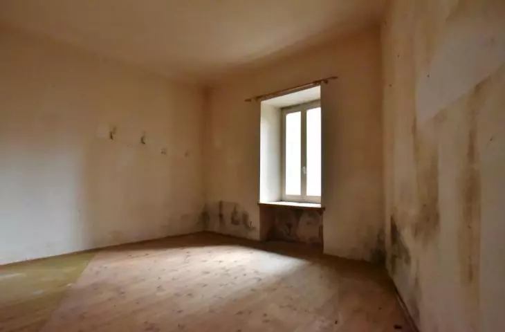 Kamienica Solec