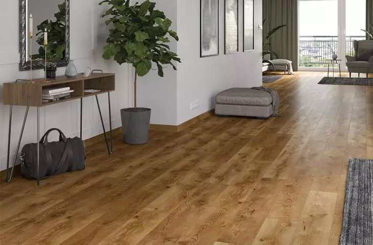 Vision – Alberta Oak