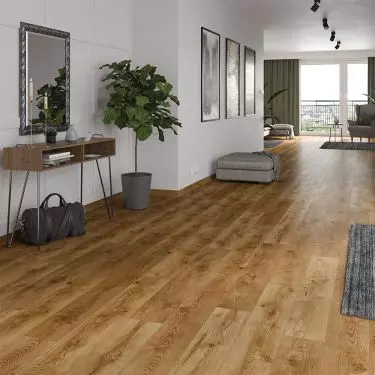 Vision – Alberta Oak