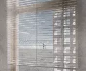 Asylum for single mothers, detail 