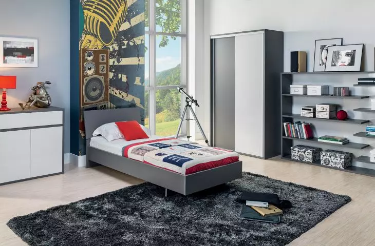 Proposal for arranging a stylish youth room