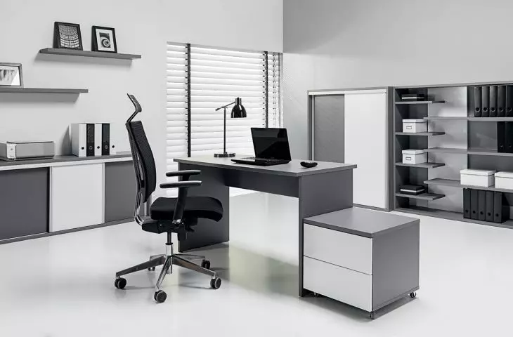 Proposal for the arrangement of a functional office 