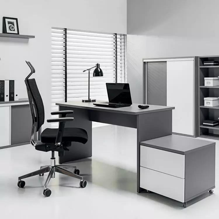 Proposal for the arrangement of a functional office 