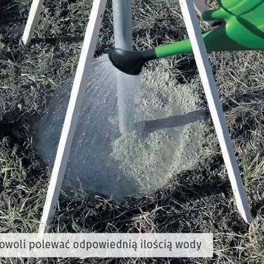 Concrete work in the garden