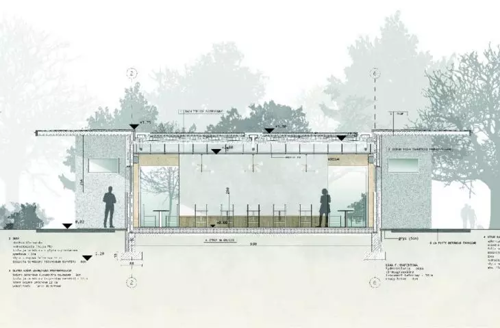 section