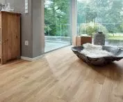 MeisterDesign. | Dąb pustynny 6998