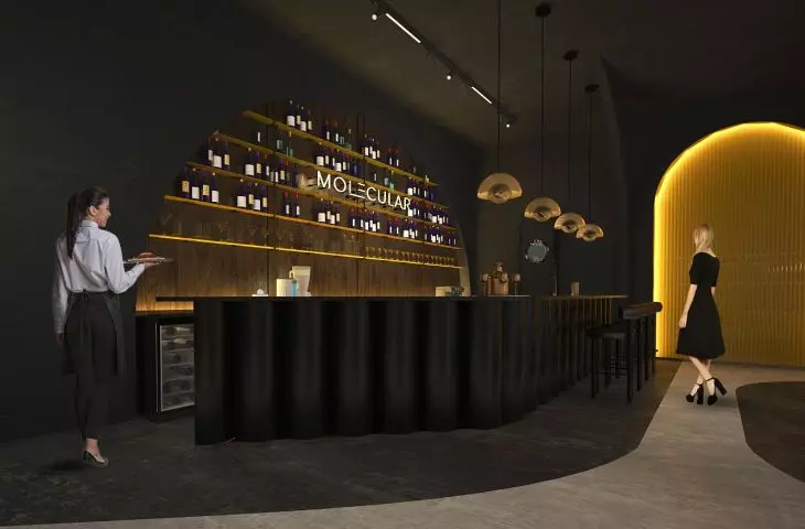 Wnętrza baru „Molecular”