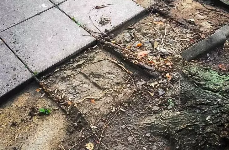 Paving slabs