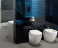 Koło Ego