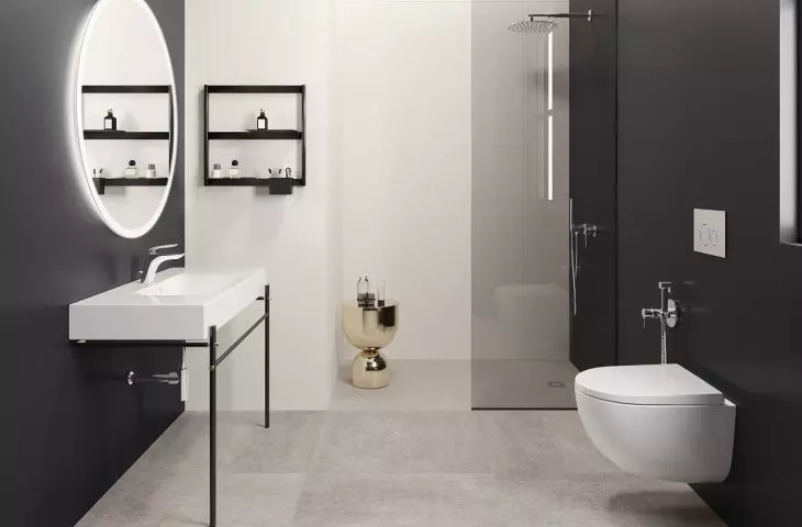 RAK Ceramics, or form combined with functionality
