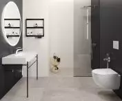 RAK Ceramics, or form combined with functionality