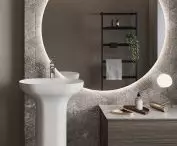RAK Ceramics, or form combined with functionality