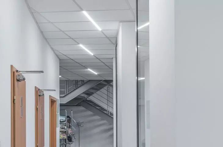 Energooszczędna LARSA dba o dobre doświetlenie biur