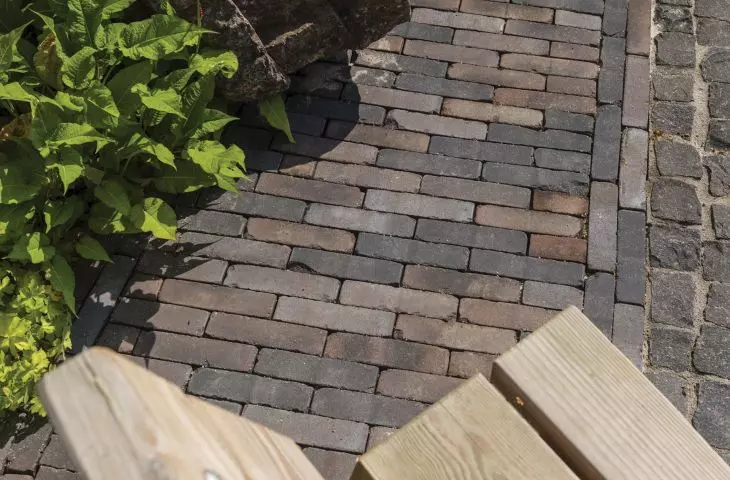 Nature at your feet