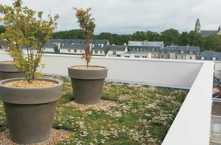 Water permeable pavements