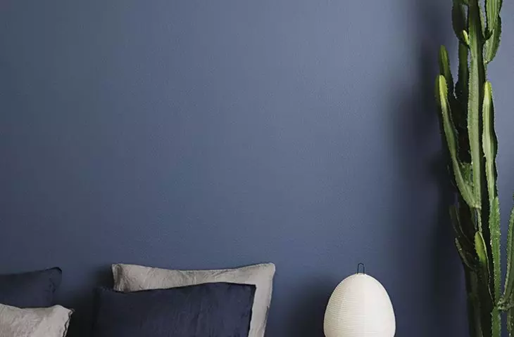 Wall: paint Tikkurila Optiva Nature 5, color N348 (Tikkurila Symphony pattern book)