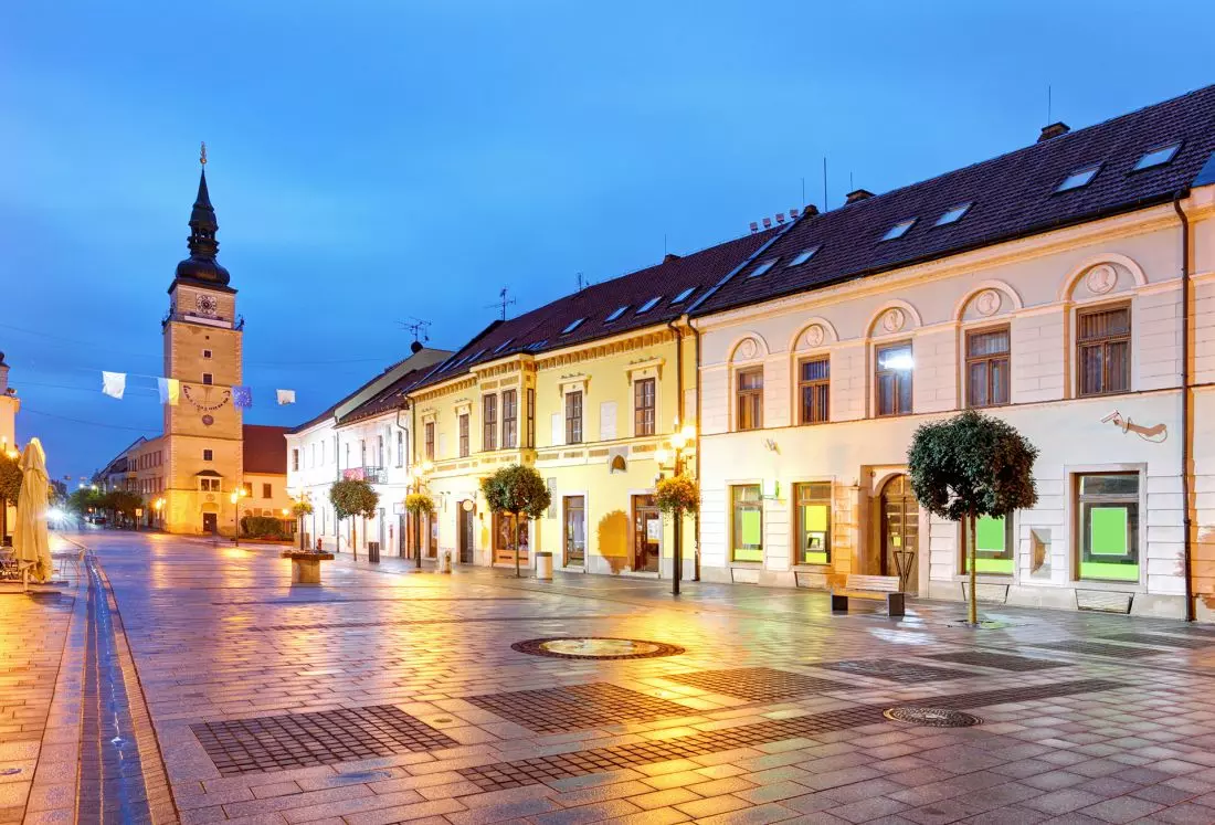 Eleganckie
rozwiązanie wokół prywatnych posesji jak i budynków ratusza, sejmu, ambasad i innych ważnych urzędów