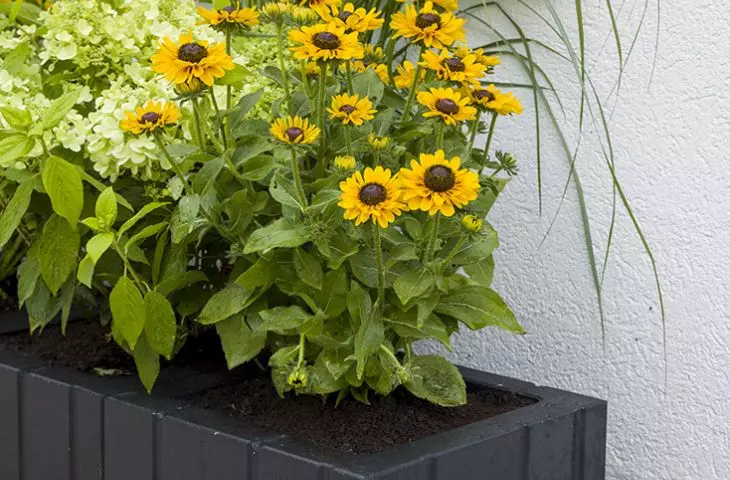 Concrete materials for the arrangement of stylish pavements and small architecture from Polbruk
