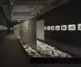 Wyróżnienie w kategorii PRZESTRZEŃ PUBLICZNA, wystawa „Hokusai. Wędrując…”