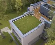 Green roof - trust the experts!
