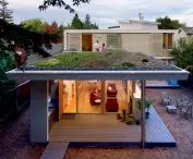 Green roof - trust the experts!