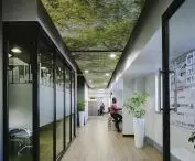 Ecophon – sufity podwieszane o najlepszych akustycznych parametrach
