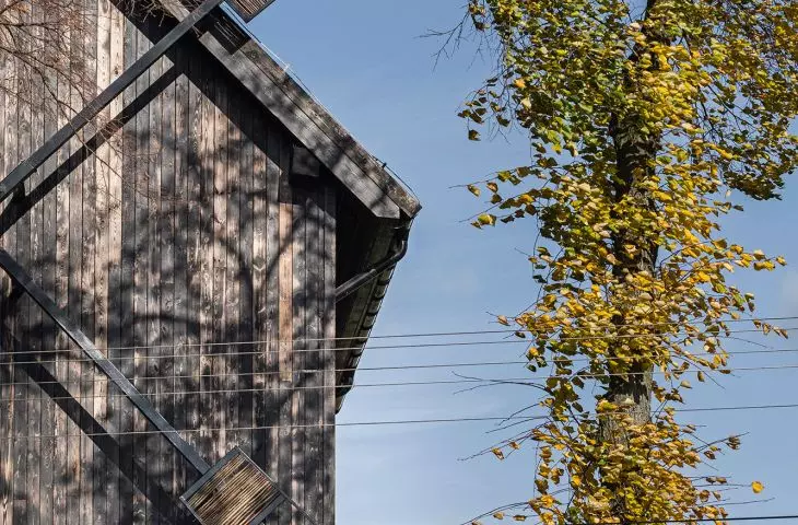 wings of the mill