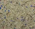 Fragrant, natural decorative surface Organoid - alpine hay with cornflower petals