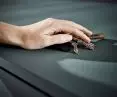 RAUVISIO noir is particularly resistant to scratches and scrapes