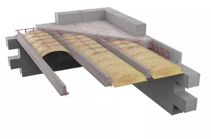 RECTOLIGHT SYSTEM